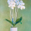 Phalaenopsis Orchid in Ceramic Vase - Image 2